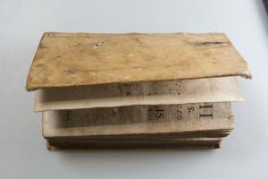 Μικρογραφία εικόνας