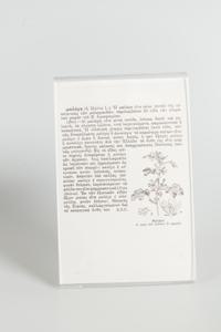 Μικρογραφία εικόνας