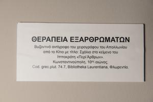 Μικρογραφία εικόνας