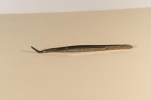 Μικρογραφία εικόνας