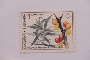 Μικρογραφία εικόνας