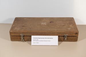 Μικρογραφία εικόνας