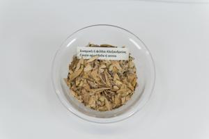 Μικρογραφία εικόνας