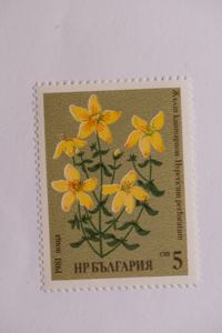 Μικρογραφία εικόνας