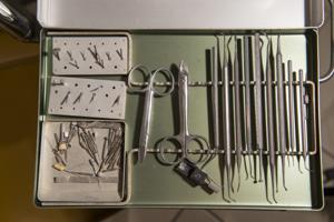 Μικρογραφία εικόνας