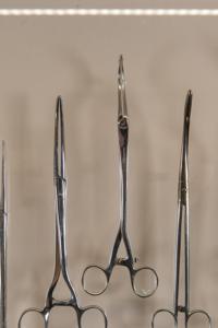 Μικρογραφία εικόνας