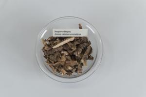 Μικρογραφία εικόνας