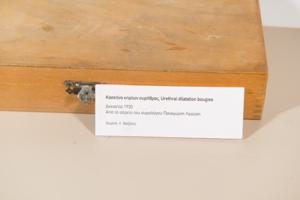 Μικρογραφία εικόνας