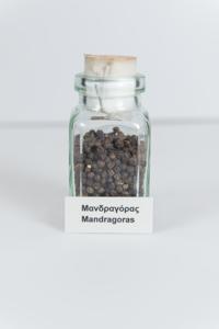 Μικρογραφία εικόνας