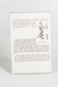 Μικρογραφία εικόνας