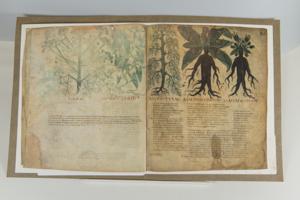 Μικρογραφία εικόνας