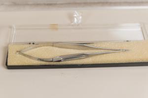 Μικρογραφία εικόνας