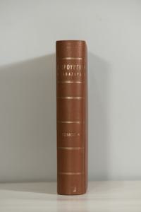 Μικρογραφία εικόνας