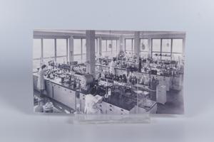 Μικρογραφία εικόνας