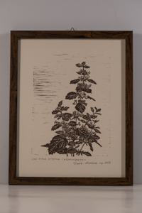 Μικρογραφία εικόνας