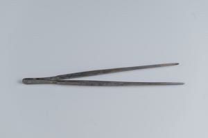 Μικρογραφία εικόνας