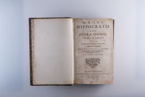 Μικρογραφία εικόνας