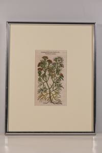 Μικρογραφία εικόνας