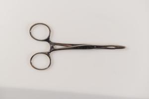 Μικρογραφία εικόνας