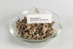 Μικρογραφία εικόνας