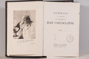 Μικρογραφία εικόνας