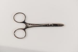 Μικρογραφία εικόνας