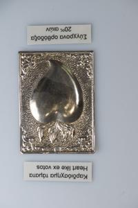 Μικρογραφία εικόνας