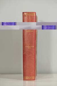 Μικρογραφία εικόνας