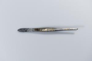 Μικρογραφία εικόνας