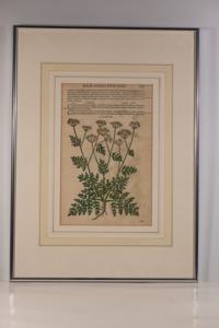 Μικρογραφία εικόνας