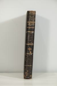 Μικρογραφία εικόνας