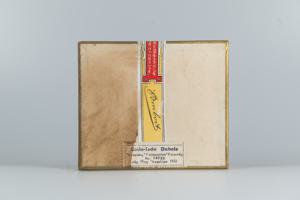 Μικρογραφία εικόνας