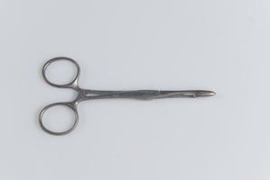 Μικρογραφία εικόνας