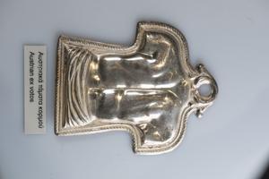 Μικρογραφία εικόνας