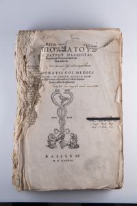 Μικρογραφία εικόνας