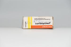 Μικρογραφία εικόνας