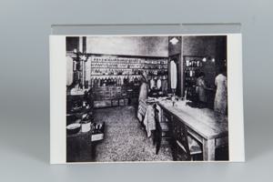 Μικρογραφία εικόνας